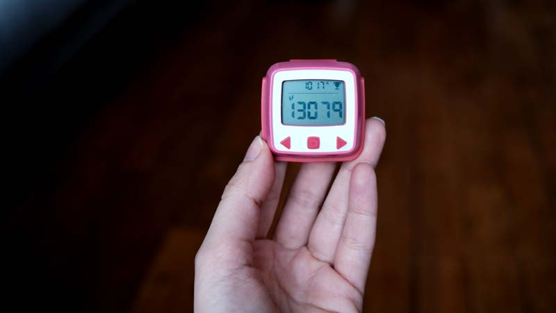 pedometer THE REALISTS